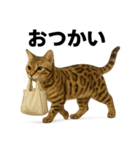 出発！ベンガル猫の日常LINEスタンプ（個別スタンプ：11）