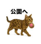出発！ベンガル猫の日常LINEスタンプ（個別スタンプ：12）