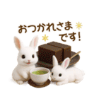 毎日使える♡うさぎの敬語（個別スタンプ：13）