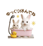 毎日使える♡うさぎの敬語（個別スタンプ：19）