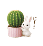 毎日使える♡うさぎの敬語（個別スタンプ：37）