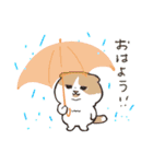 雨の日専用10人〜傘と人と猫のおはよう沢山（個別スタンプ：33）