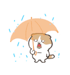 雨の日専用10人〜傘と人と猫のおはよう沢山（個別スタンプ：34）