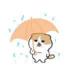 雨の日専用10人〜傘と人と猫のおはよう沢山（個別スタンプ：35）