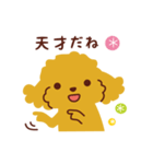 トイプードル_ハッピーな日々（個別スタンプ：6）