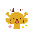 トイプードル_ハッピーな日々（個別スタンプ：9）