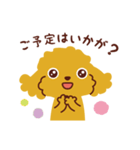 トイプードル_ハッピーな日々（個別スタンプ：20）