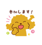 トイプードル_ハッピーな日々（個別スタンプ：21）