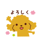 トイプードル_ハッピーな日々（個別スタンプ：27）