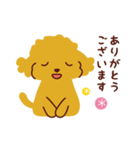 トイプードル_ハッピーな日々（個別スタンプ：28）