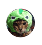 Goji Dale 2（個別スタンプ：1）