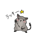 デグーの可愛い1日part2(グレー)（個別スタンプ：12）