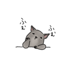 デグーの可愛い1日part2(グレー)（個別スタンプ：22）