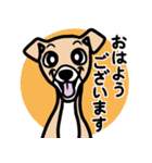 【フォーン3】1年中使える♡パピーイタグレ（個別スタンプ：1）