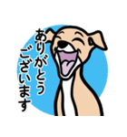 【フォーン3】1年中使える♡パピーイタグレ（個別スタンプ：5）