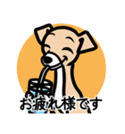 【フォーン3】1年中使える♡パピーイタグレ（個別スタンプ：8）