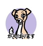 【フォーン3】1年中使える♡パピーイタグレ（個別スタンプ：11）