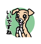 【フォーン3】1年中使える♡パピーイタグレ（個別スタンプ：13）