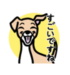 【フォーン3】1年中使える♡パピーイタグレ（個別スタンプ：14）