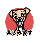 【フォーン3】1年中使える♡パピーイタグレ（個別スタンプ：16）