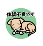 【フォーン3】1年中使える♡パピーイタグレ（個別スタンプ：20）