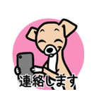 【フォーン3】1年中使える♡パピーイタグレ（個別スタンプ：24）