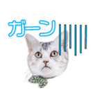 力久家のさくら＆あんみつちゃん（個別スタンプ：7）