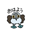 日常生活とアオアシさん【入門セット】（個別スタンプ：1）