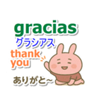 スペイン語＋英語＋日本語 ピンクのウサギ（個別スタンプ：2）