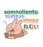 スペイン語＋英語＋日本語 ピンクのウサギ（個別スタンプ：7）