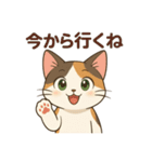 【猫】まこスタンプ2（個別スタンプ：12）