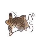 ぽちょねこ敬語スタンプ（個別スタンプ：5）