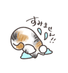ぽちょねこ敬語スタンプ（個別スタンプ：6）
