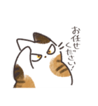 ぽちょねこ敬語スタンプ（個別スタンプ：11）