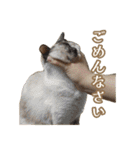 ラムとうこさこ（個別スタンプ：5）