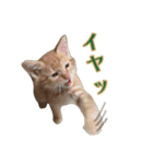 ラムとうこさこ（個別スタンプ：9）
