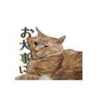 ラムとうこさこ（個別スタンプ：14）