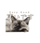 ラムとうこさこ（個別スタンプ：20）