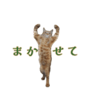 ラムとうこさこ（個別スタンプ：22）