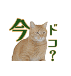 ラムとうこさこ（個別スタンプ：32）