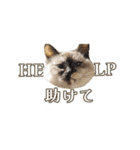 ラムとうこさこ（個別スタンプ：35）