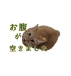 ラムとうこさこ（個別スタンプ：36）