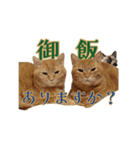 ラムとうこさこ（個別スタンプ：37）