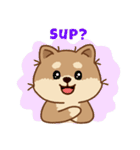 マランちゃんの毎日が楽しい！英語版（個別スタンプ：2）