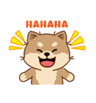 マランちゃんの毎日が楽しい！英語版（個別スタンプ：11）