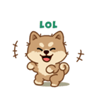 マランちゃんの毎日が楽しい！英語版（個別スタンプ：12）