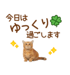 敬語のマンチカンスタンプ（個別スタンプ：23）