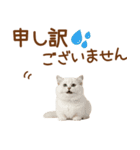 敬語のマンチカンスタンプ（個別スタンプ：36）