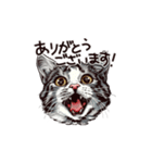 営業の猫本さん（個別スタンプ：1）