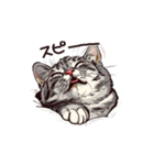 営業の猫本さん（個別スタンプ：3）